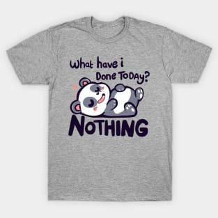 Done Nothing Today T-Shirt